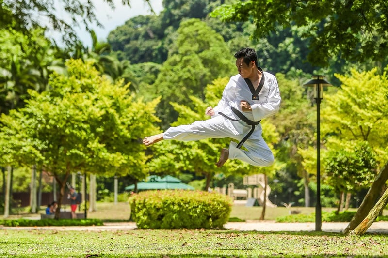 Sun Style Martial Arts